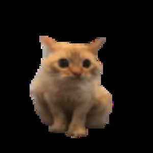 Meet your Posher, Rei